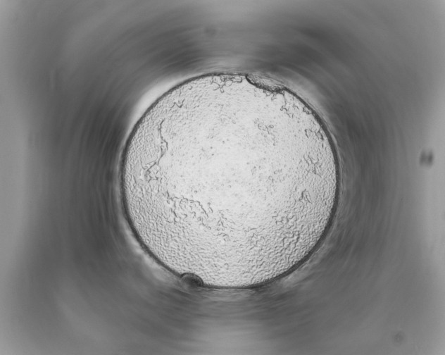 X0000089881440200707262201