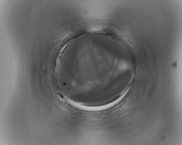 X0000089881441200707262200