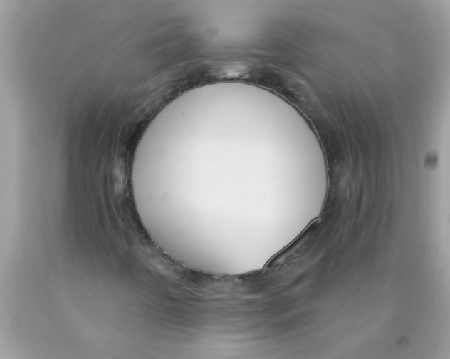 X0000089881442200707262200