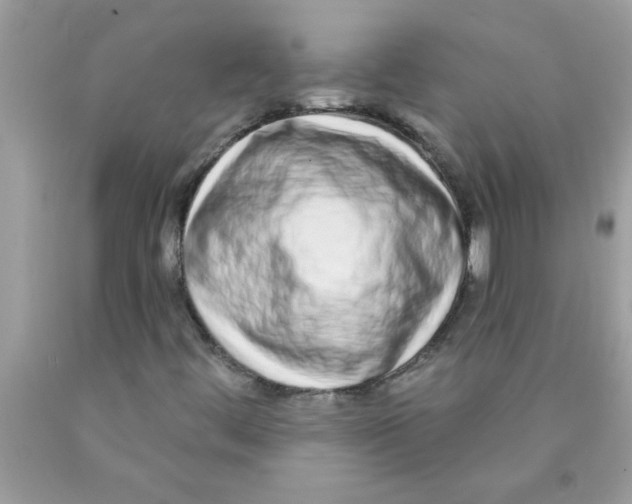 X0000089881444200707262200