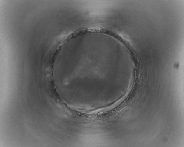 X0000089881445200707262200