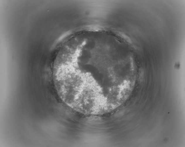 X0000089881446200707262200