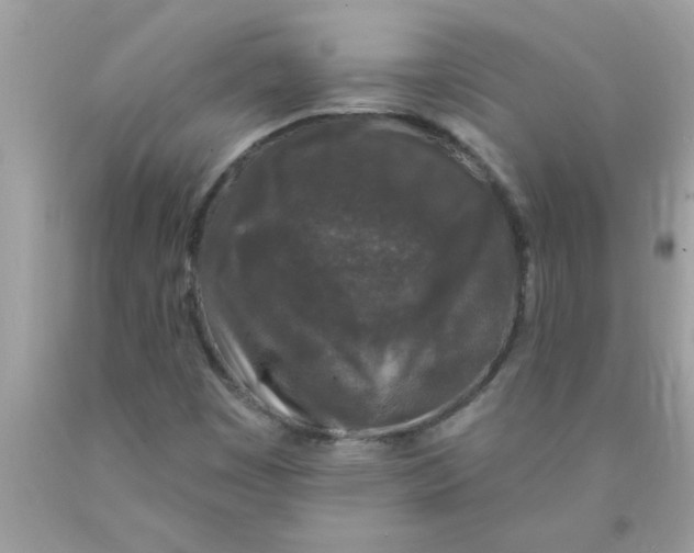 X0000089881449200707262200