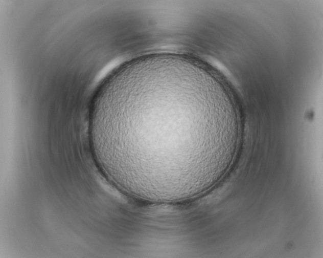 X0000089881450200707262200