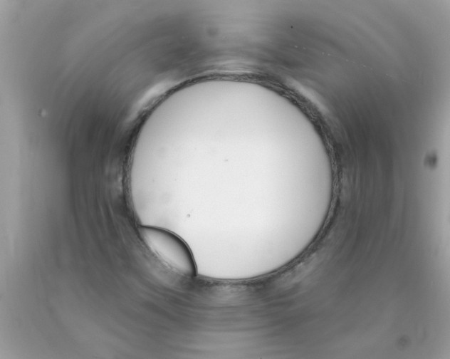 X0000089881451200707262200