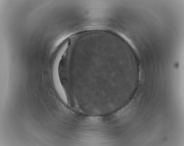 X0000089881453200707262200