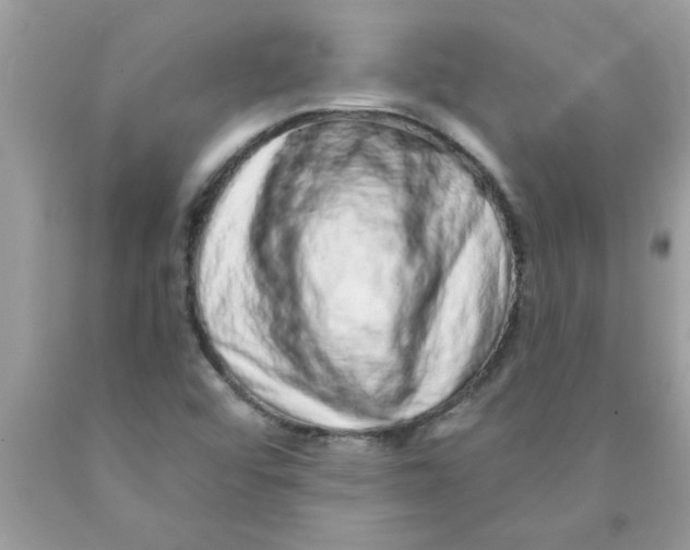 X0000089881456200707262200