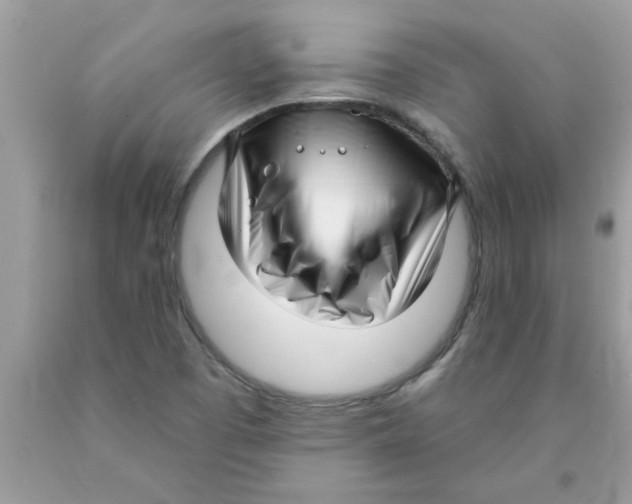 X0000089881457200707262200