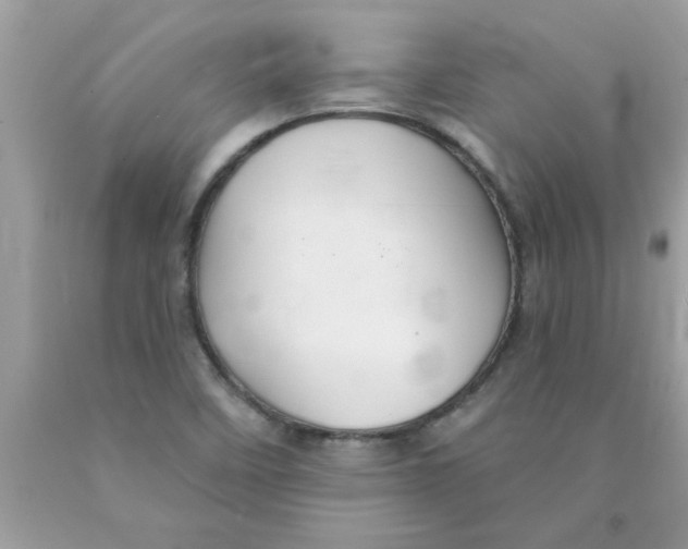 X0000089881458200707262200