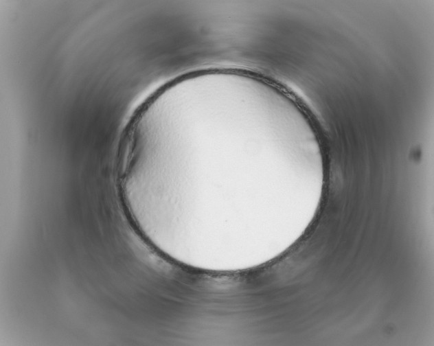 X0000089881460200707262200