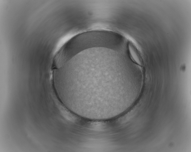 X0000089881461200707262200