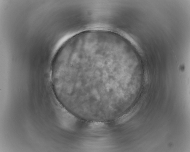 X0000089881462200707262200