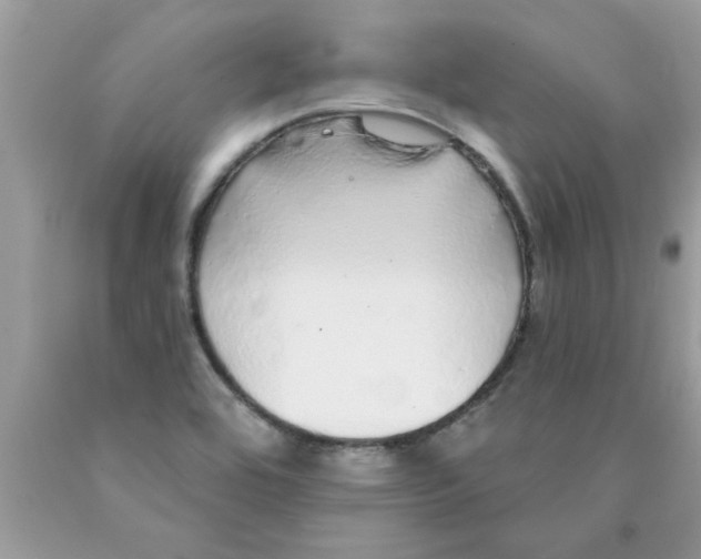 X0000089881464200707262200