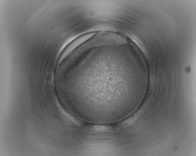 X0000089881465200707262200