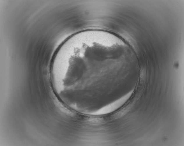 X0000089881466200707262200