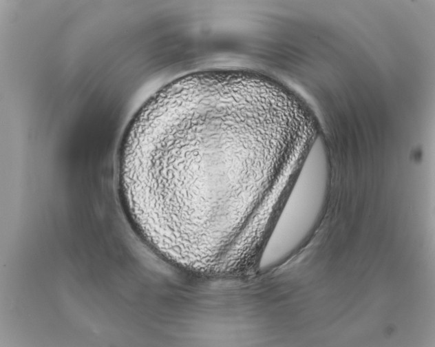 X0000089881467200707262200