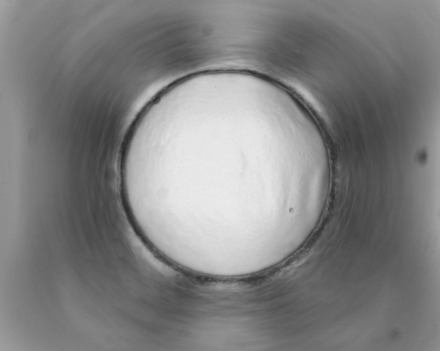 X0000089881468200707262200