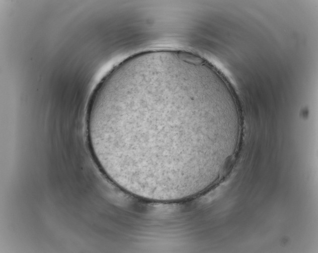 X0000089881469200707262200