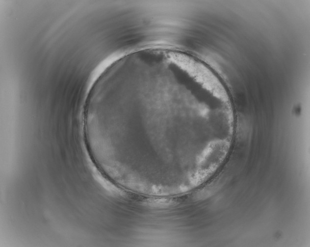 X0000089881474200707262200