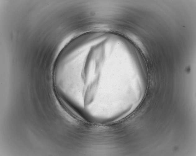 X0000089881475200707262200