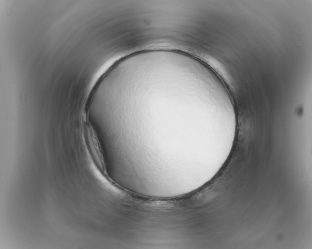 X0000089881476200707262200