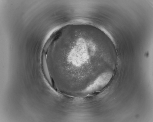 X0000089881477200707262200