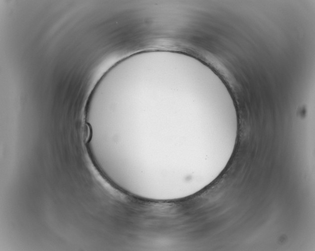 X0000089881479200707262200