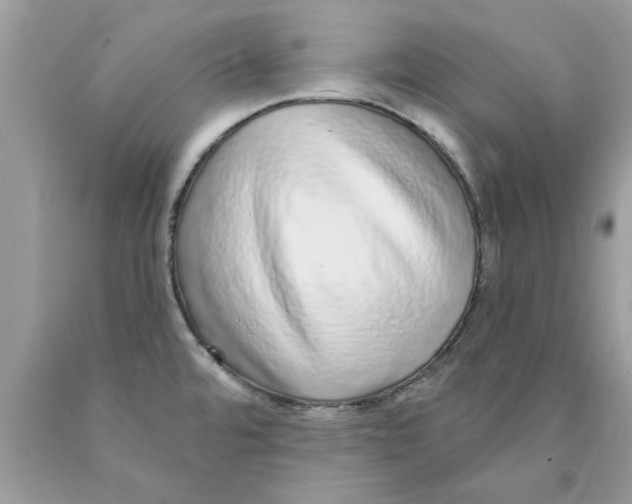 X0000089881480200707262200