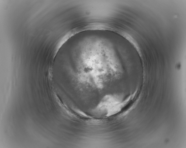 X0000089881481200707262200