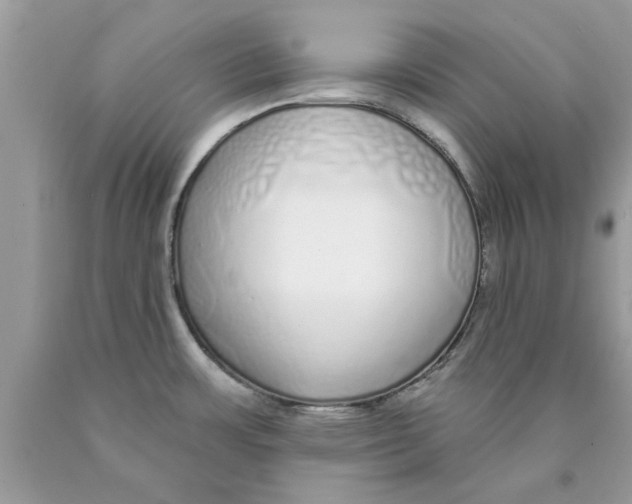 X0000089881483200707262200