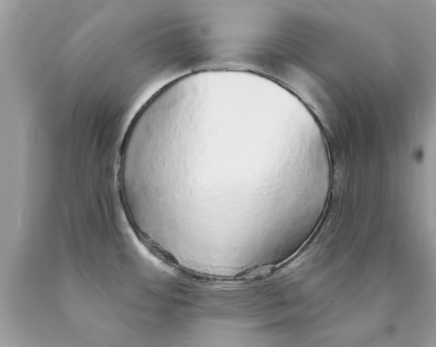 X0000089881484200707262200