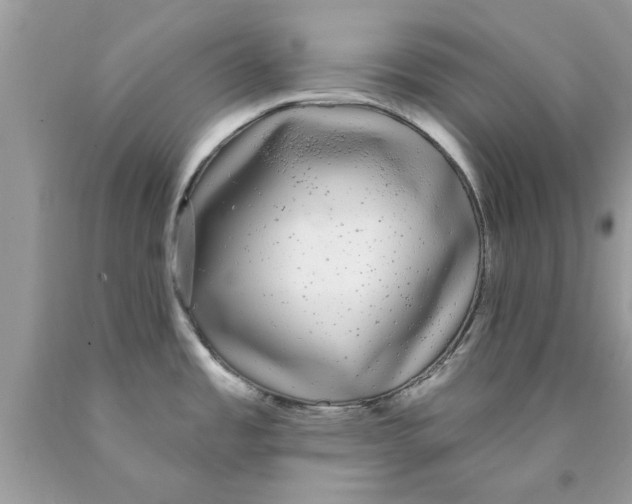 X0000089881485200707262200