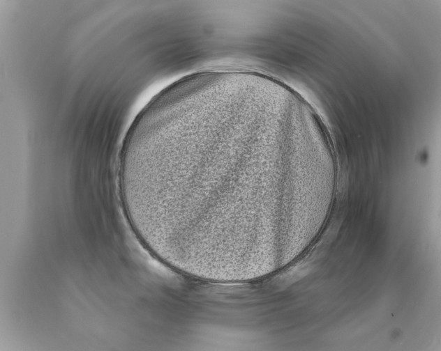 X0000089881486200707262200