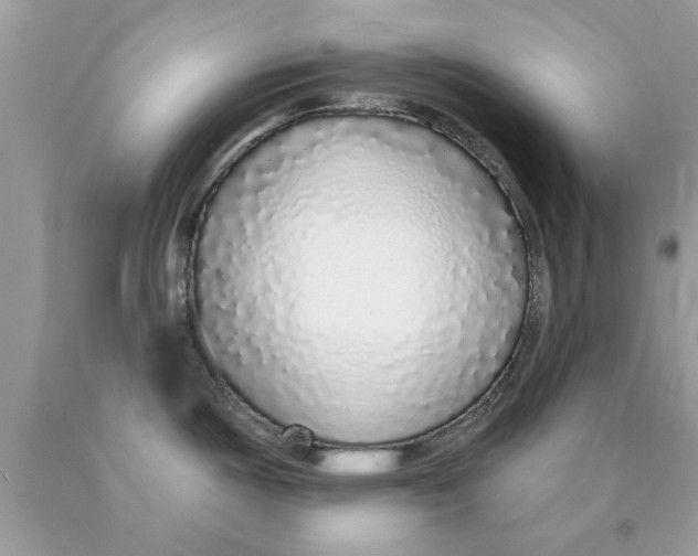 X0000089881487200707262200