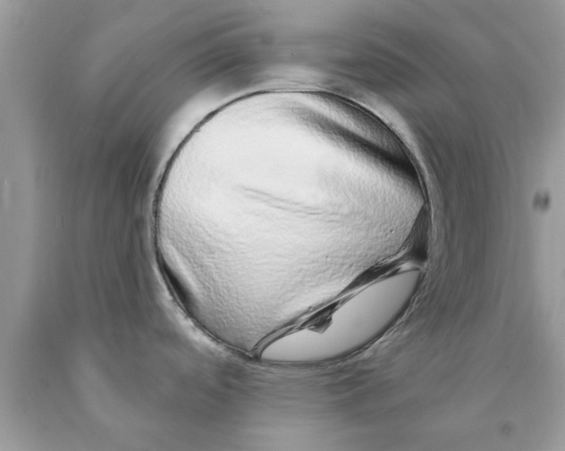 X0000089881488200707262200