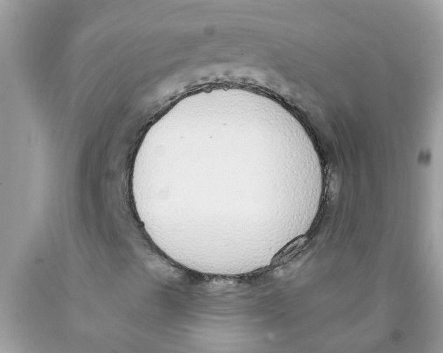 X0000089881489200707262159