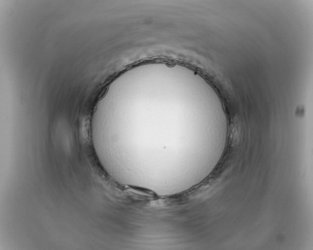 X0000089881490200707262159