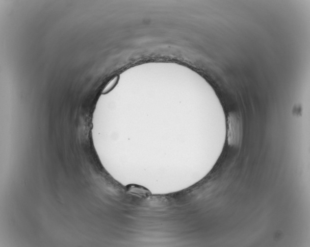 X0000089881491200707262159