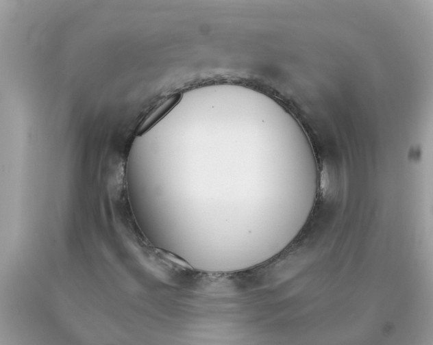 X0000089881492200707262159