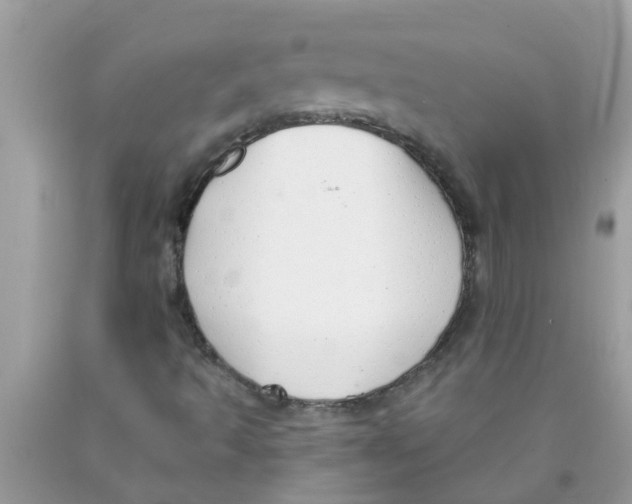 X0000089881493200707262159