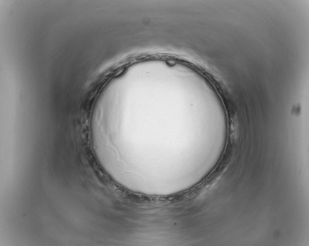 X0000089881494200707262159