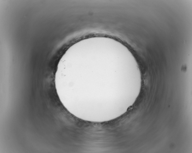 X0000089881495200707262159