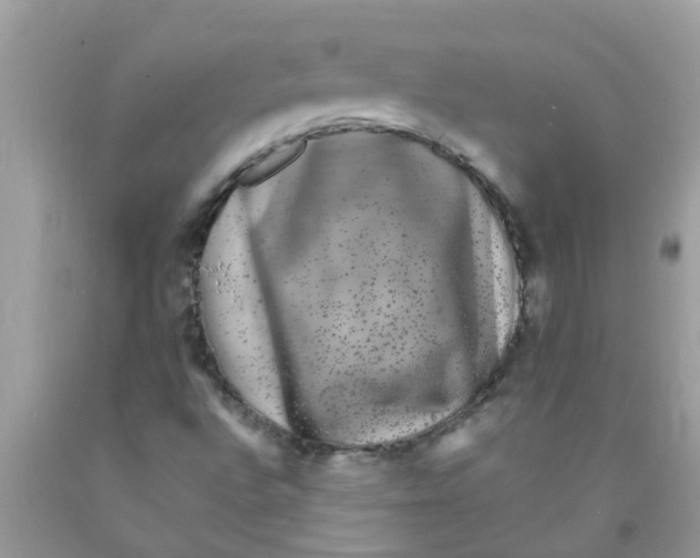 X0000089881496200707262159