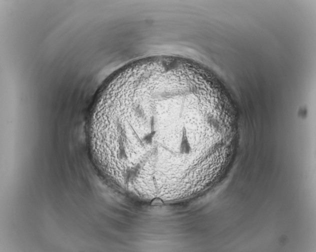 X0000089881497200707262159