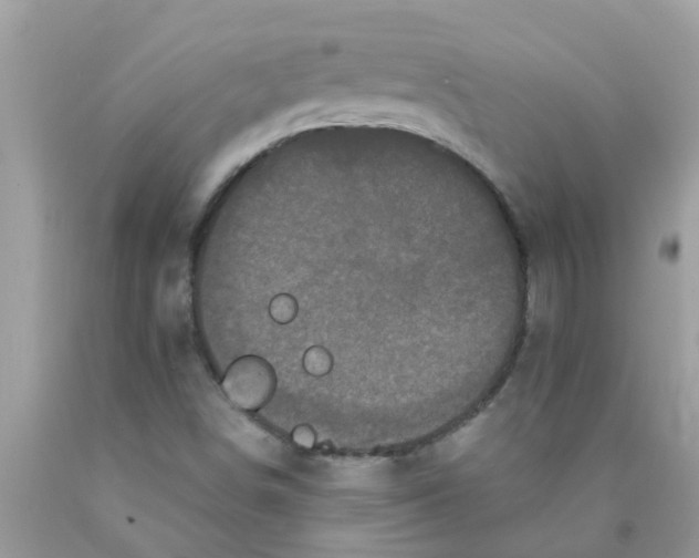 X0000089881498200707262159