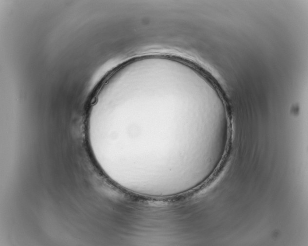 X0000089881501200707262159