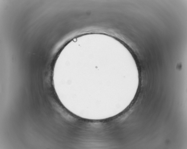 X0000089881502200707262159