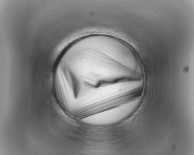 X0000089881503200707262159