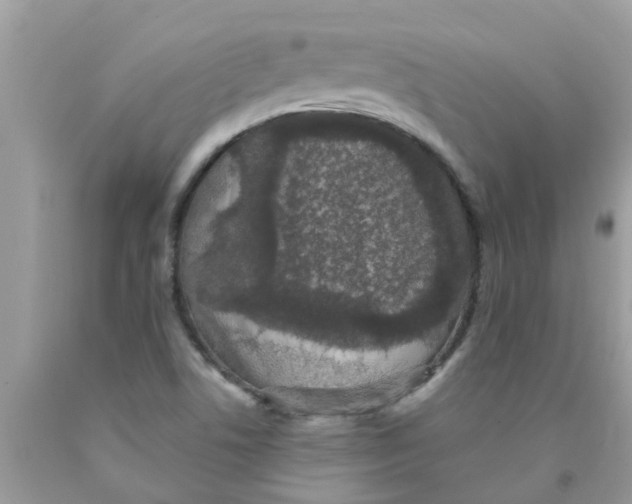 X0000089881506200707262159