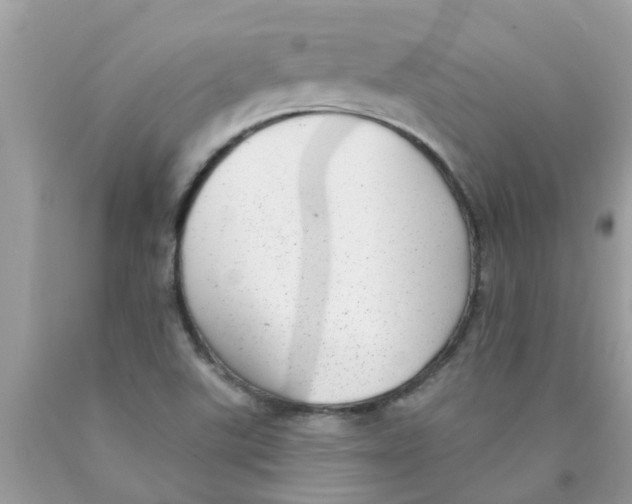 X0000089881507200707262159